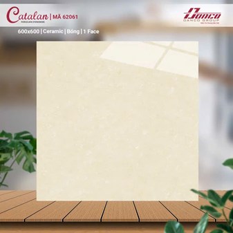 Gạch 60x60cm men bóng 62061