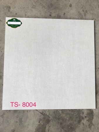 Gạch 80x80cm Porcelain Matt TASA TS8004