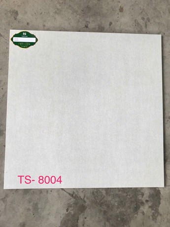 Gạch 80x80cm Porcelain Matt TASA TS8004