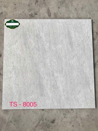 Gạch 80x80cm Porcelain Matt TASA TS8005
