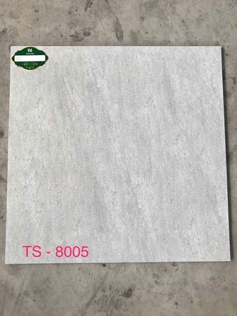 Gạch 80x80cm Porcelain Matt TASA TS8005