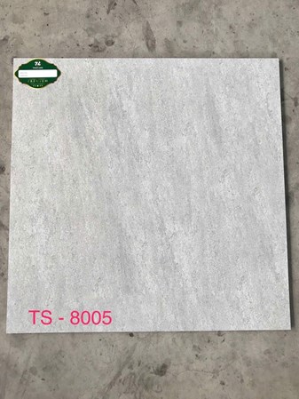 Gạch 80x80cm Porcelain Matt TASA TS8005