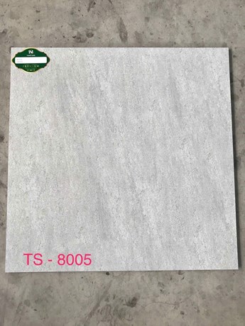 Gạch 80x80cm Porcelain Matt TASA TS8005