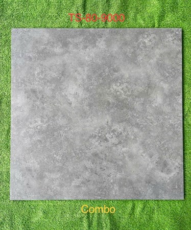 Gạch 80x80cm Porcelain Matt TASA TS9000