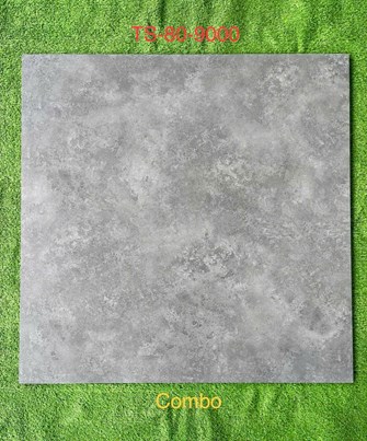 Gạch 80x80cm Porcelain Matt TASA TS9000