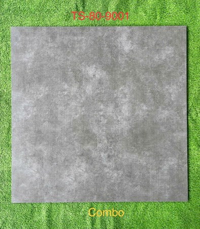 Gạch 80x80cm Porcelain Matt TASA TS9001