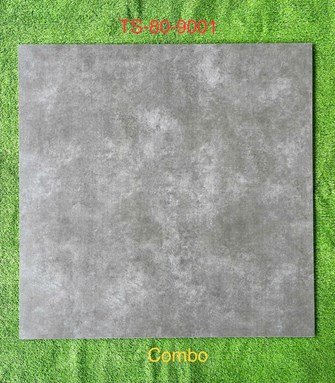 Gạch 80x80cm Porcelain Matt TASA TS9001