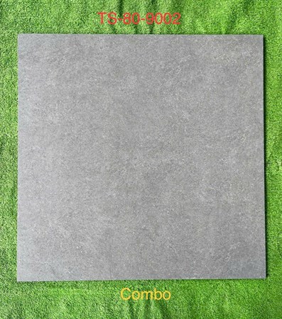 Gạch 80x80cm Porcelain Matt TASA TS9002