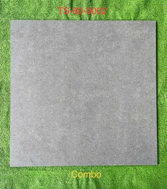 Gạch 80x80cm Porcelain Matt TASA TS9002