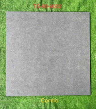 Gạch 80x80cm Porcelain Matt TASA TS9002