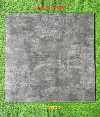 Gạch 80x80cm Porcelain Matt TASA TS9003