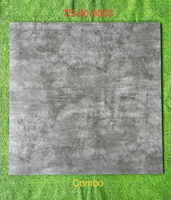 Gạch 80x80cm Porcelain Matt TASA TS9003