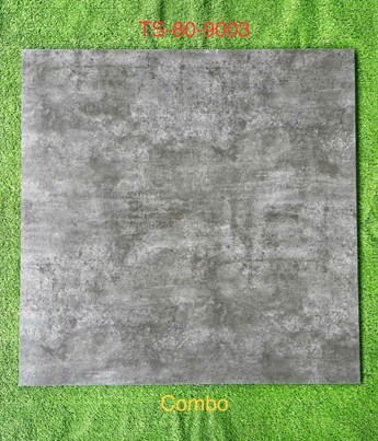 Gạch 80x80cm Porcelain Matt TASA TS9003