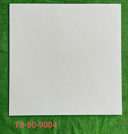 Gạch 80x80cm Porcelain Matt TASA TS9004
