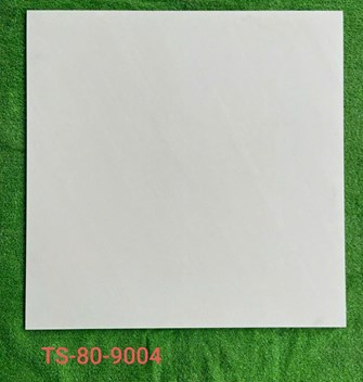 Gạch 80x80cm Porcelain Matt TASA TS9004