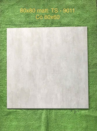 Gạch 80x80cm Porcelain Matt TASA TS9011