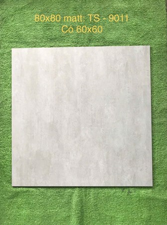 Gạch 80x80cm Porcelain Matt TASA TS9011