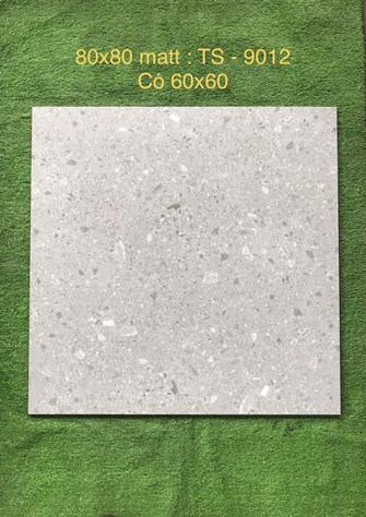 Gạch 80x80cm Porcelain Matt TASA TS9012