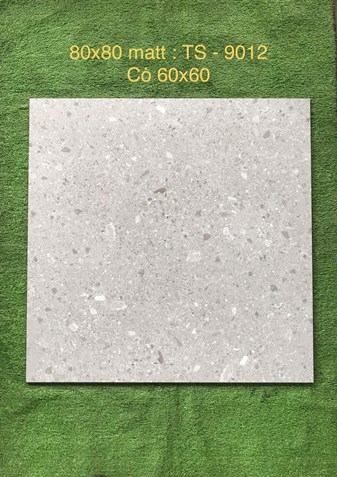 Gạch 80x80cm Porcelain Matt TASA TS9012