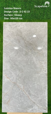 Gạch Ấn Độ 60x120cm SG6223