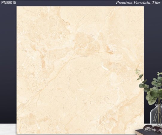 Gạch bóng kiếng 80x80cm TTC - PN88015