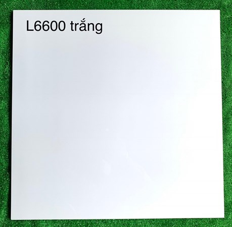 Gạch bóng kiếng Hà Thanh 60x60cm L6600