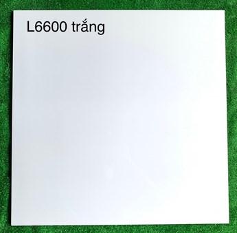Gạch bóng kiếng Hà Thanh 60x60cm L6600
