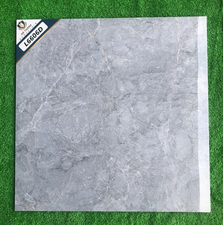 Gạch bóng kiếng Hà Thanh 60x60cm L6606D