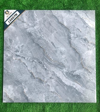 Gạch bóng kiếng Hà Thanh 60x60cm L6607N