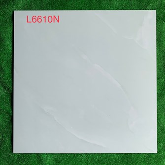 Gạch bóng kiếng Hà Thanh 60x60cm L6610N