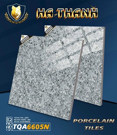Gạch bóng kiếng Hà Thanh 60x60cm TQA6605N