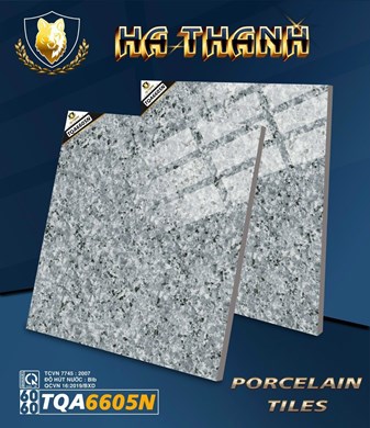 Gạch bóng kiếng Hà Thanh 60x60cm TQA6605N