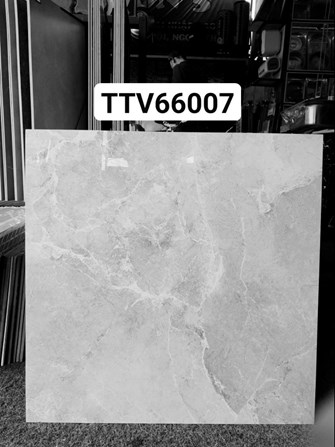 Gạch bóng kiếng Hà Thanh 60x60cm TTV66007