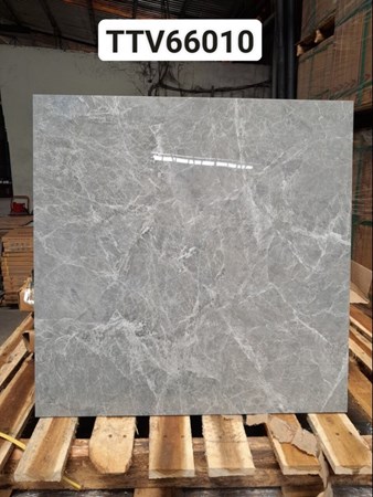 Gạch bóng kiếng Hà Thanh 60x60cm TTV66010