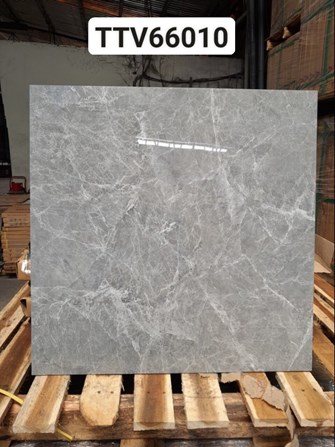 Gạch bóng kiếng Hà Thanh 60x60cm TTV66010