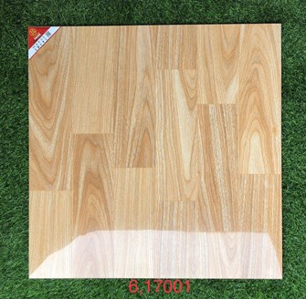 Gạch bóng kiếng PRIME 60x60cm 17001