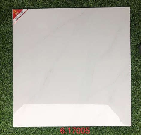 Gạch bóng kiếng PRIME 60x60cm 17005