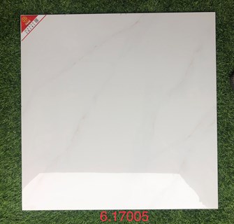 Gạch bóng kiếng PRIME 60x60cm 17005
