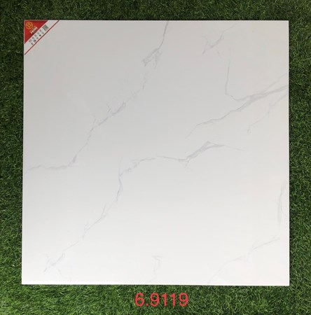 Gạch bóng kiếng PRIME 60x60cm 9119