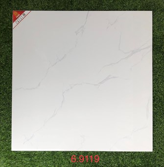 Gạch bóng kiếng PRIME 60x60cm 9119