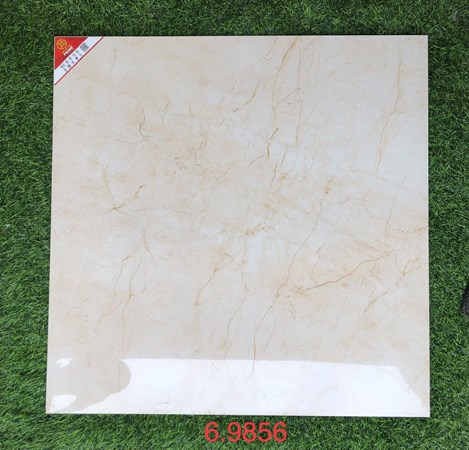 Gạch bóng kiếng PRIME 60x60cm 9856