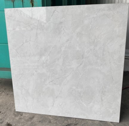Gạch bóng kiếng TTC 60x60cm CN66030