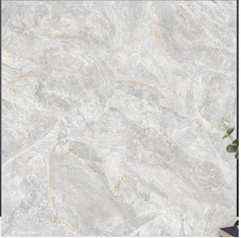 Gạch bóng kiếng TTC 60x60cm CN66039