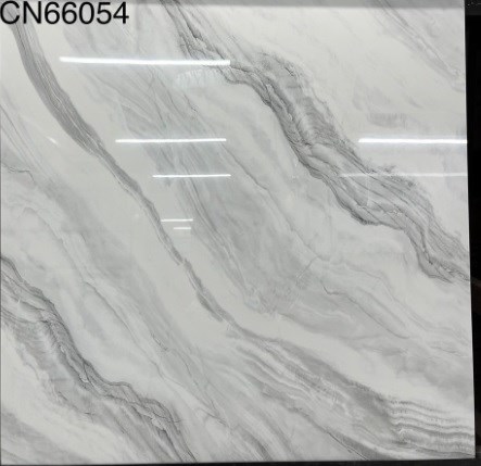 Gạch bóng kiếng TTC 60x60cm CN66054