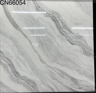 Gạch bóng kiếng TTC 60x60cm CN66054