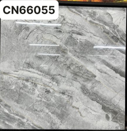 Gạch bóng kiếng TTC 60x60cm CN66055