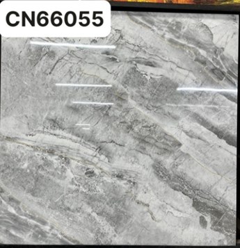 Gạch bóng kiếng TTC 60x60cm CN66055
