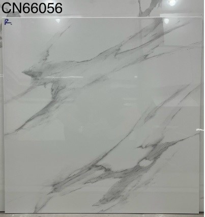 Gạch bóng kiếng TTC 60x60cm CN66056