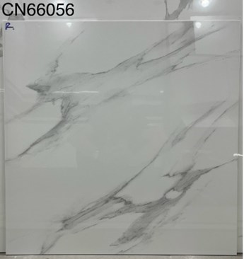 Gạch bóng kiếng TTC 60x60cm CN66056