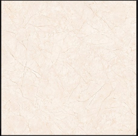 Gạch bóng kiếng TTC 60x60cm PN66005